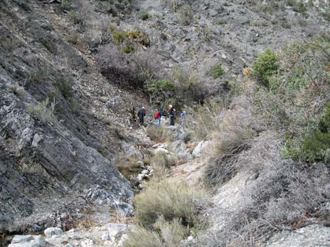 Waterfall Canyon