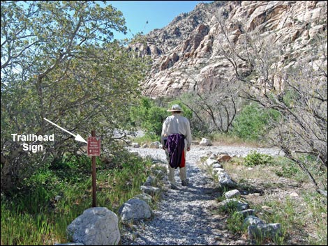 White Rock Loop Trail