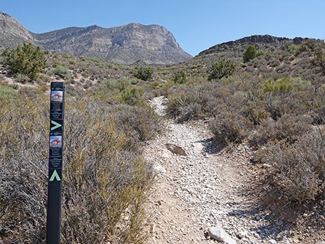 White Rock Loop Trail