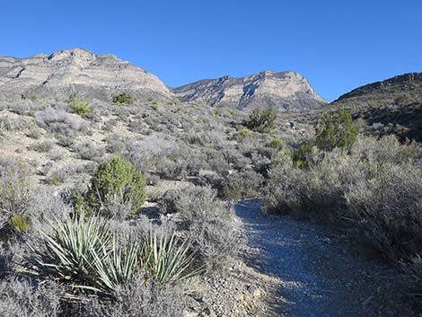 White Rock Loop Trail