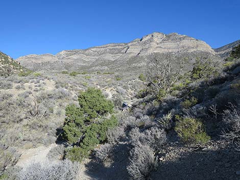 White Rock Loop Trail