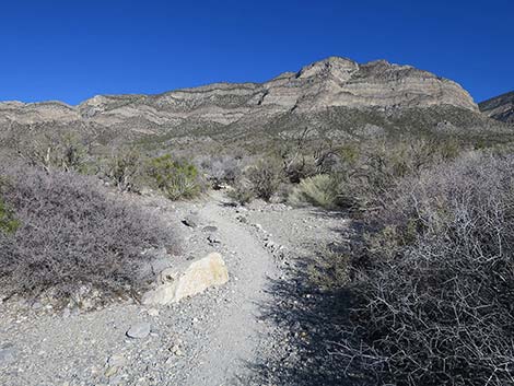 White Rock Loop Trail