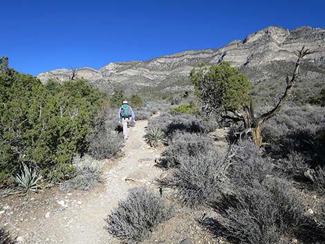 White Rock Loop Trail