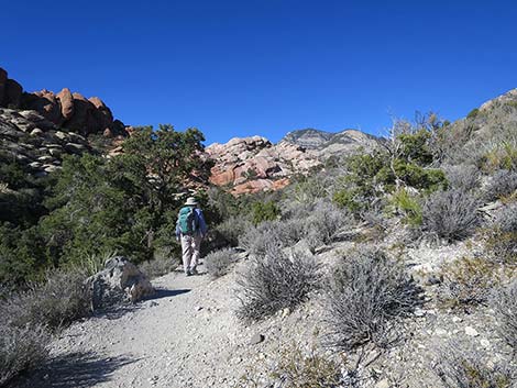 White Rock Loop Trail