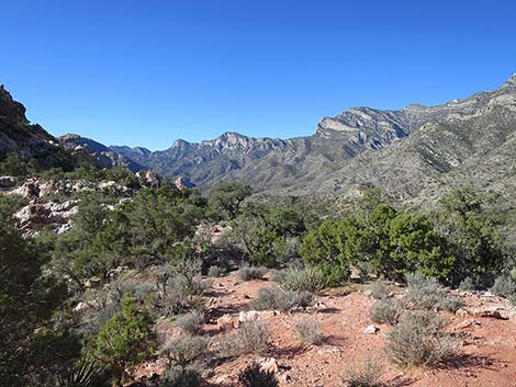 White Rock Loop Trail