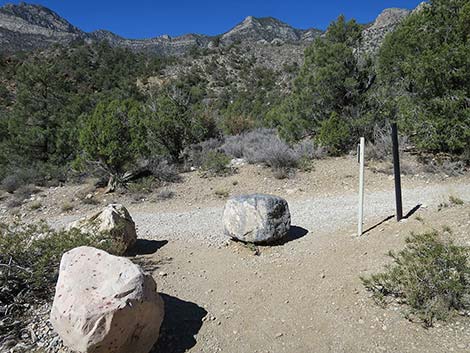 White Rock Loop Trail