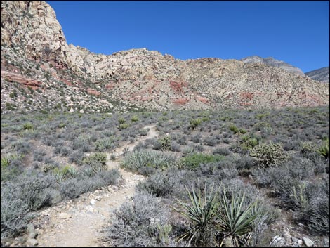 White Rock Loop Trail