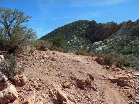 White Rock Loop Trail