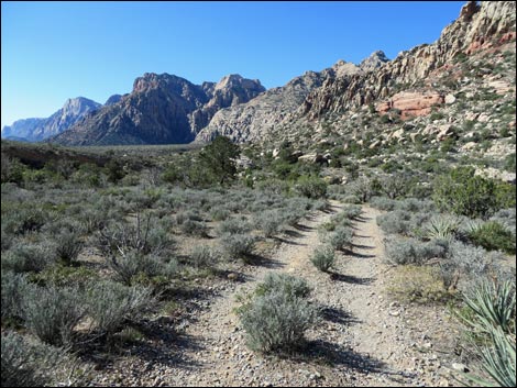 White Rock Loop Trail