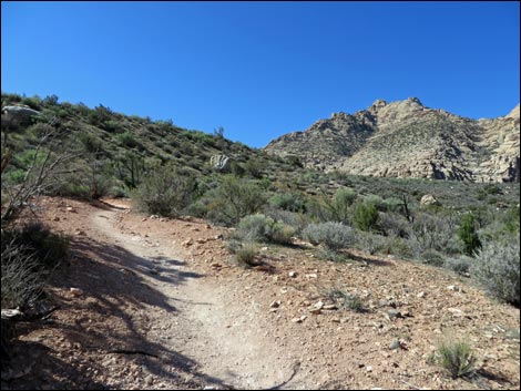 White Rock Loop Trail