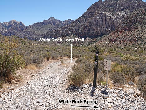 White Rock Spring Trail