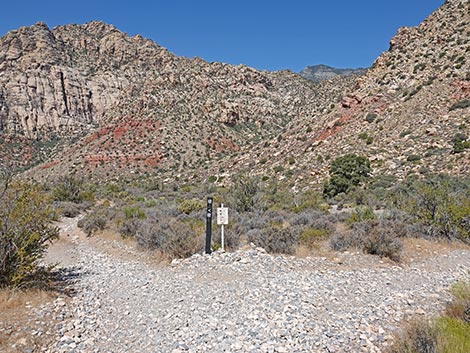 White Rock Spring Trail