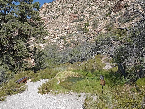 White Rock Spring Trail
