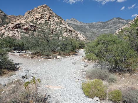 Willow Springs Loop Trail