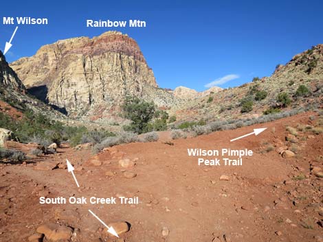 Wilson's Pimple Peak Trail