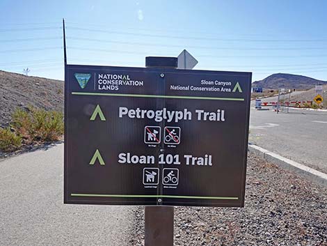 BLM 100 Trail