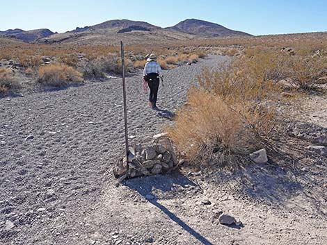 BLM 100 Trail