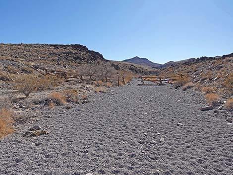 BLM 100 Trail