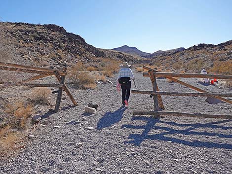 BLM 100 Trail