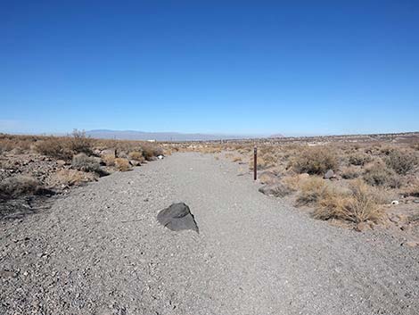 Petroglyph Canyon Trail