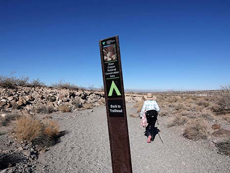 Petroglyph Canyon Trail