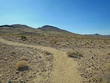 Petroglyph Canyon Trail