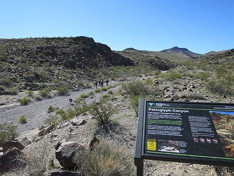 Petroglyph Canyon Trail