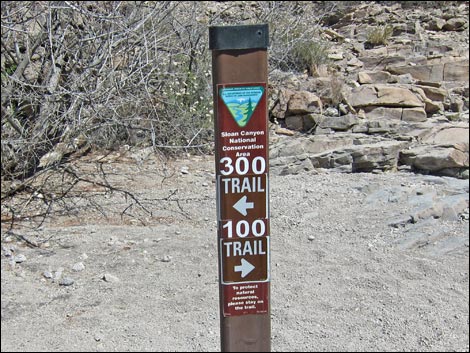 Sloan Canyon BLM 100 Trail