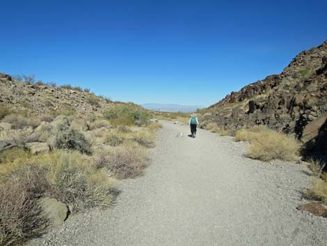 Petroglyph Trail