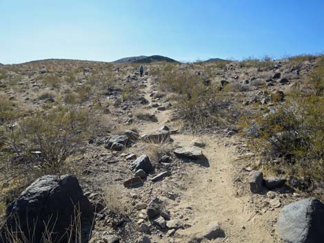 Petroglyph Trail