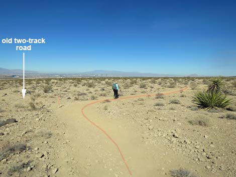 Petroglyph Trail