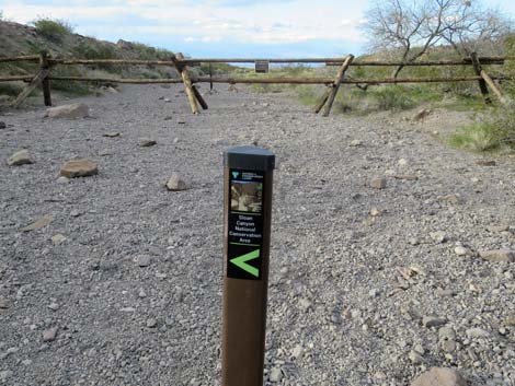 Petroglyph Trail