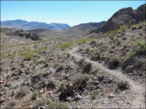 Hidden Valley Trail