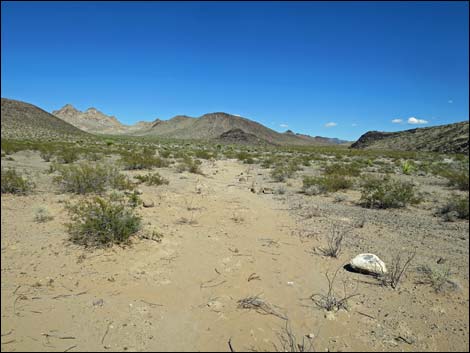 Hidden Valley Trail