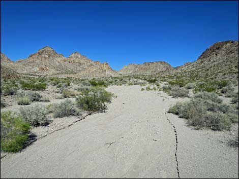 Hidden Valley Trail