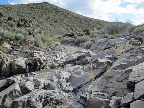 Hidden Valley Trail