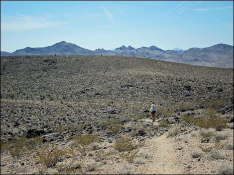 BLM 402 Connector Trail