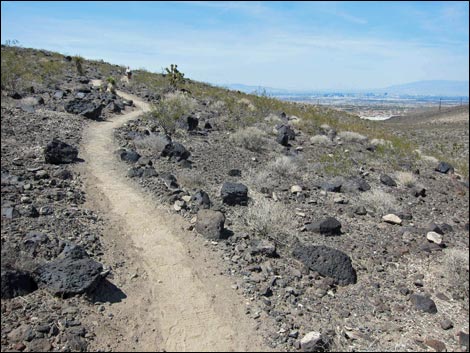 Park Peak Trail