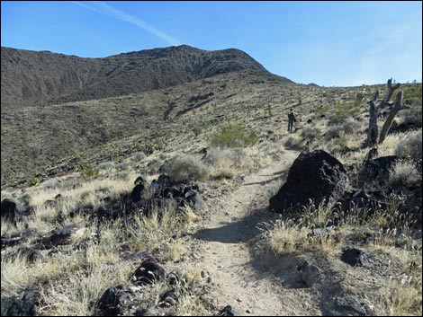 BLM 404 Trail