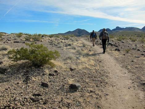 McCullough Hills Trail