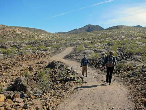 McCullough Hills Trail