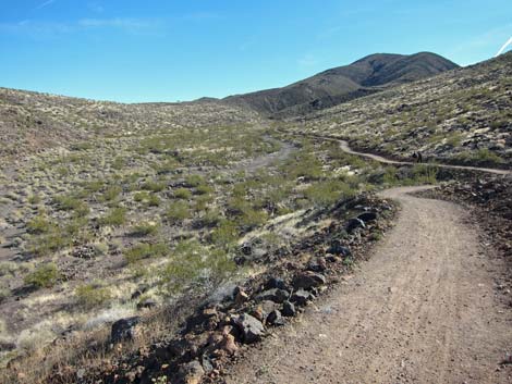 McCullough Hills Trail