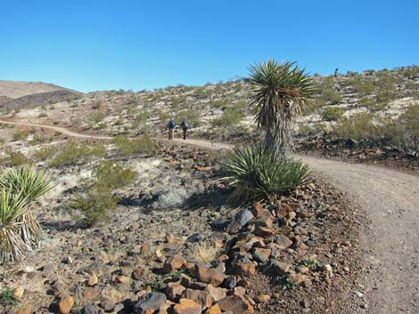 McCullough Hills Trail