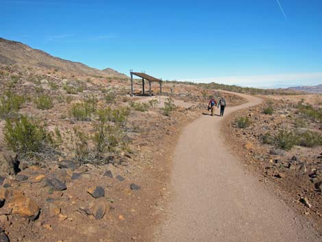 McCullough Hills Trail