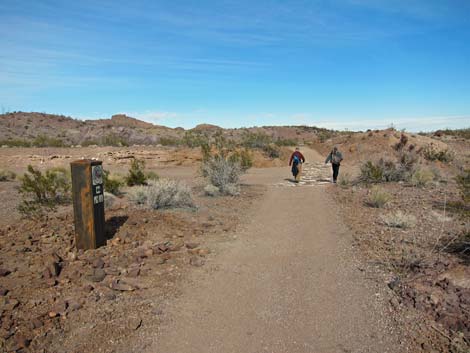 McCullough Hills Trail