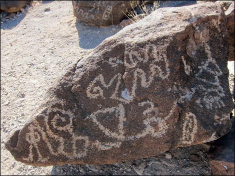 Sloan Canyon Petroglyphs