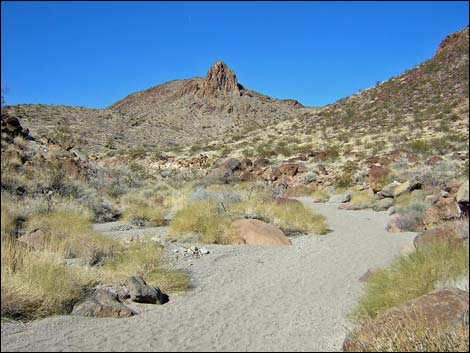 Sloan Canyon Loop