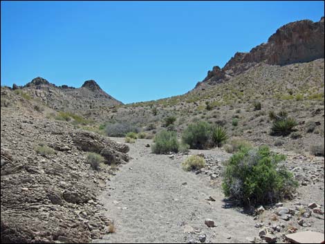 Sloan Canyon Loop