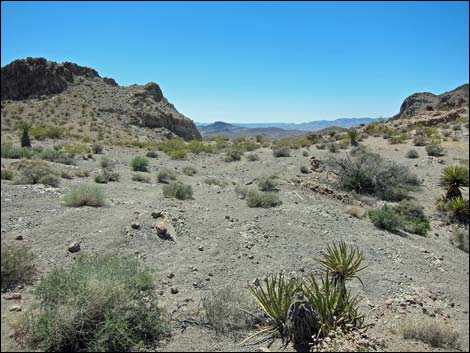 Sloan Canyon Loop