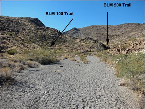 Sloan Canyon Loop